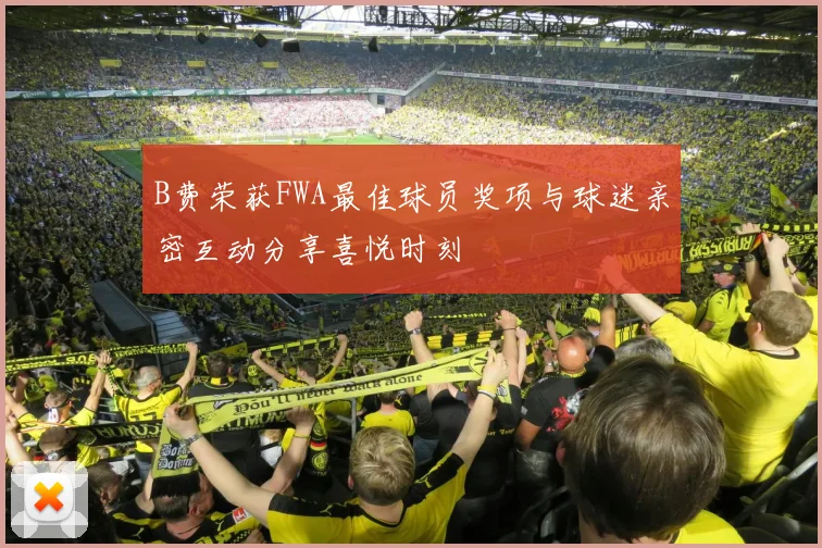 B费荣获FWA最佳球员奖项与球迷亲密互动分享喜悦时刻